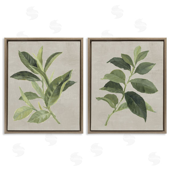 Stupell Industries Lanie Loreth | Green Tea & Coffee Plant Leaves