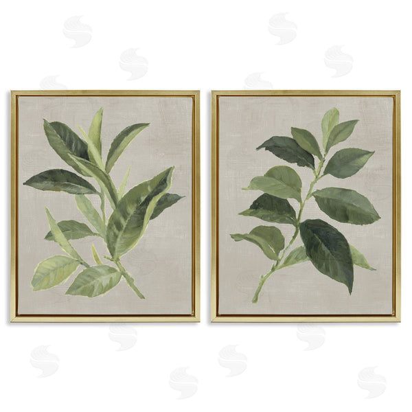 Stupell Industries Lanie Loreth | Green Tea & Coffee Plant Leaves