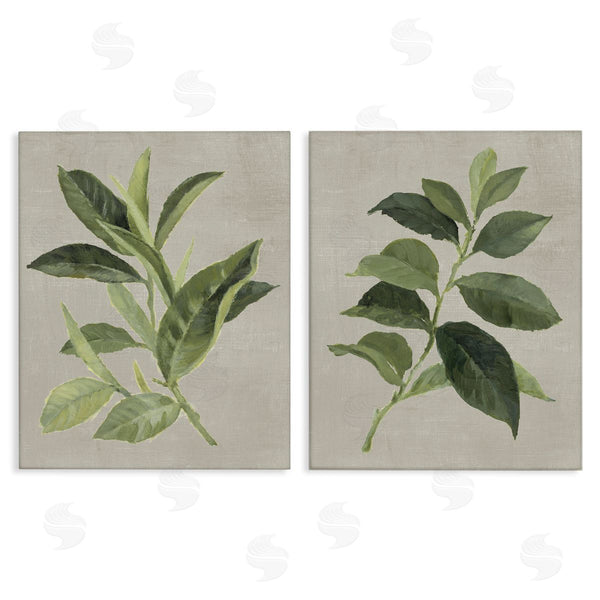 stupell industries Lanie Loreth | Green Tea & Coffee Plant Leaves