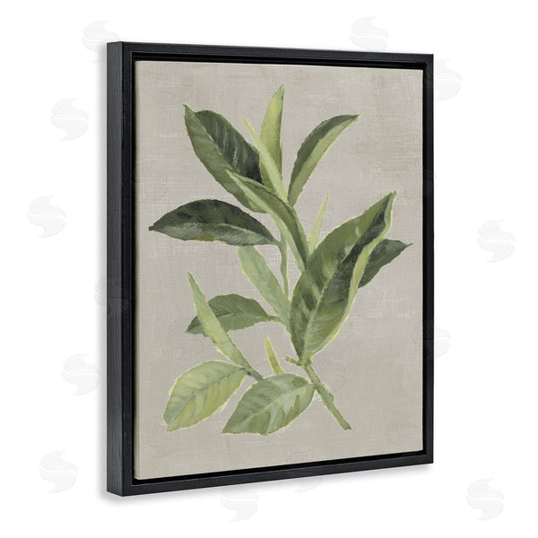 Stupell Industries Lanie Loreth | Green Tea Plant Leaf