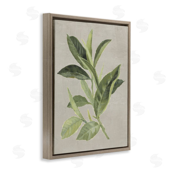 Stupell Industries Lanie Loreth | Green Tea Plant Leaf