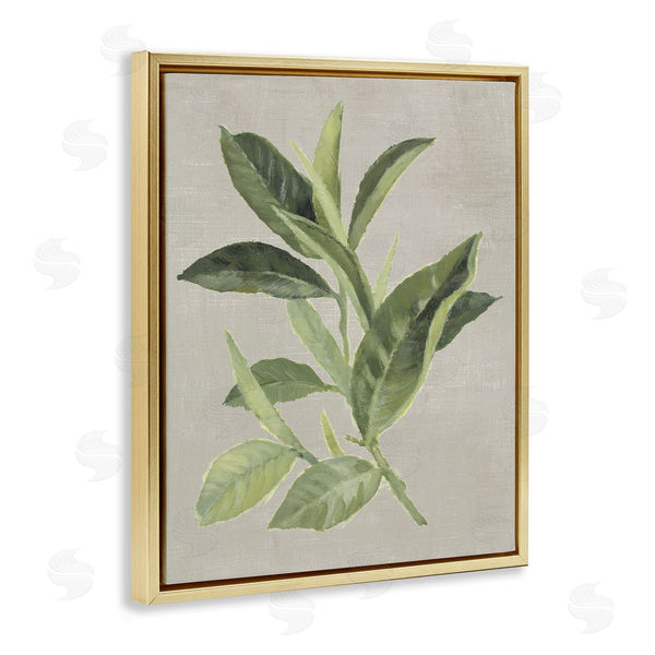 Stupell Industries Lanie Loreth | Green Tea Plant Leaf