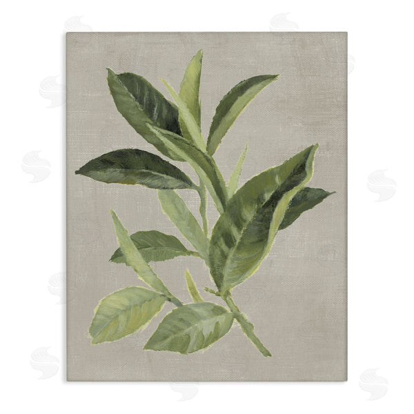 stupell industries Lanie Loreth | Green Tea Plant Leaf
