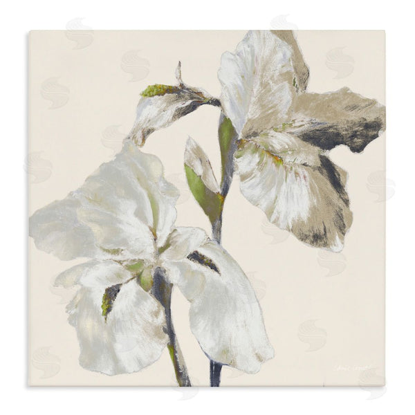 stupell industries Lanie Loreth | Irises Soft Beige Wall Art