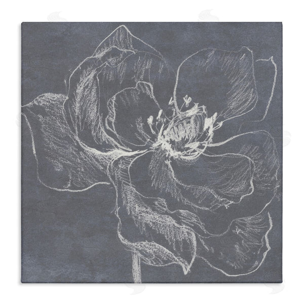 stupell industries Lanie Loreth | Magnolia Doodle Outline Wall Art