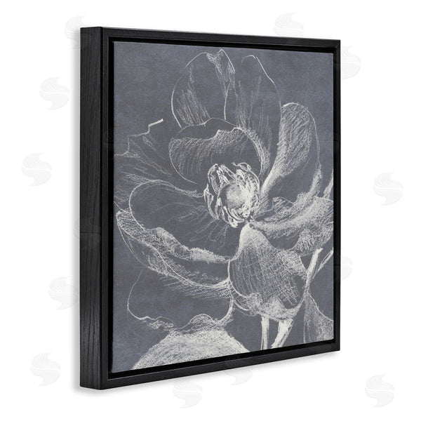 Stupell Industries Lanie Loreth | Magnolia Sketch Impression Wall Art