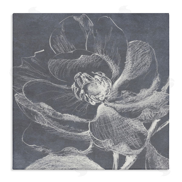 stupell industries Lanie Loreth | Magnolia Sketch Impression Wall Art