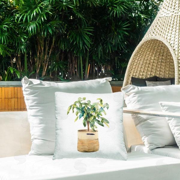 Stupell Industries Lanie Loreth | Potted Plant Greenery Printed Throw Pillow