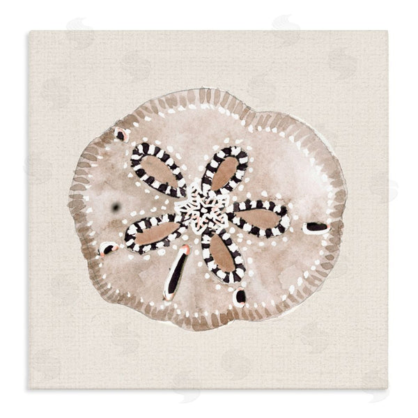 stupell industries Lanie Loreth | Taupe & Beige Sand Dollar Wall Art