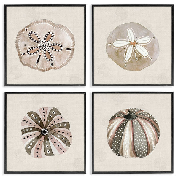 Stupell Industries Lanie Loreth | Taupe & Beige Sea Creatures Wall Art