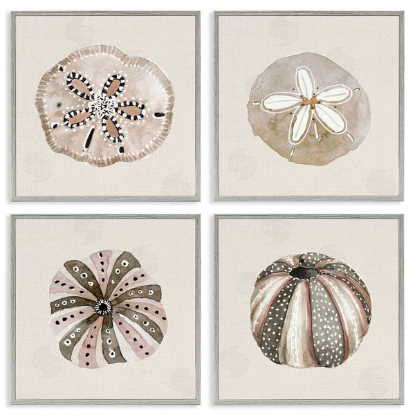Stupell Industries Lanie Loreth | Taupe & Beige Sea Creatures Wall Art
