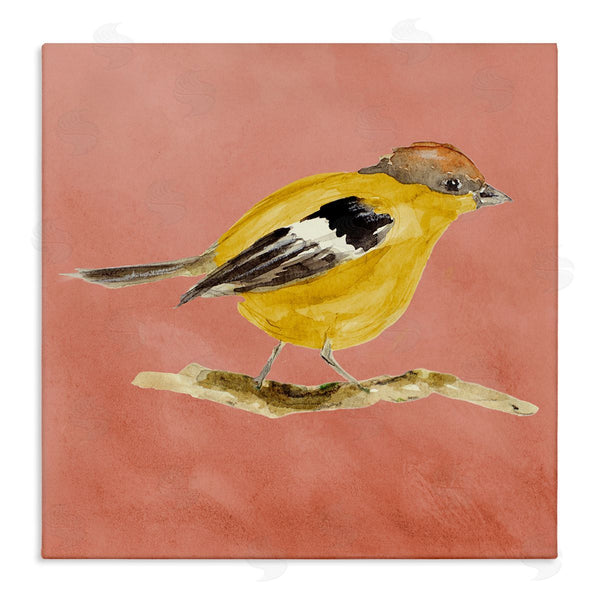 stupell industries Lanie Loreth | Traditional Wren Bird