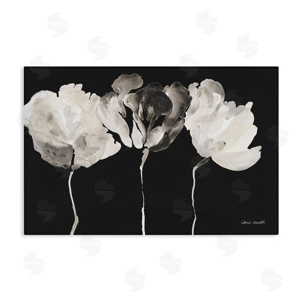 stupell industries Lanie Loreth | Trio In Light On Black Wall Art