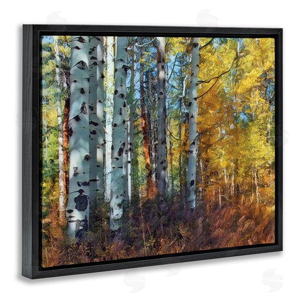 Stupell Industries Larry McFerrin | Cluster Of Birch Trees In Yellow Autumn Forest Wall Art