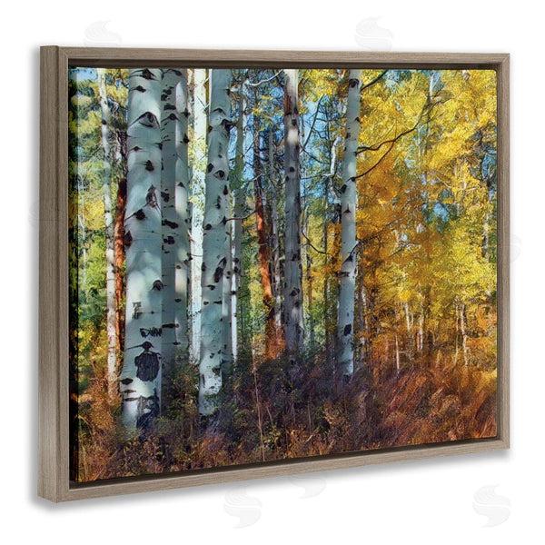 Stupell Industries Larry McFerrin | Cluster Of Birch Trees In Yellow Autumn Forest Wall Art