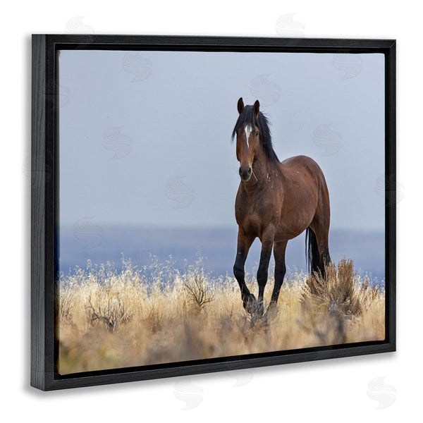 Stupell Industries Larry McFerrin | Equestrian Horse In Wild Countryside Soft Blue Sky Wall Art