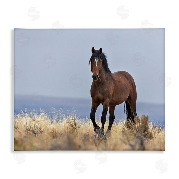 stupell industries Larry McFerrin | Equestrian Horse in Wild Countryside Soft Blue Sky Wall Art