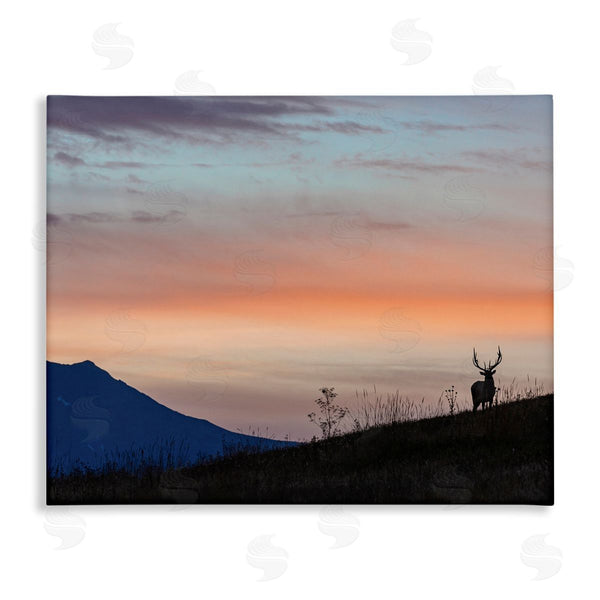 stupell industries Larry McFerrin | Mountain Elk Sunset Silhouette Blush Orange Skyline Wall Art
