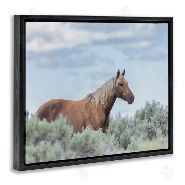 Stupell Industries Larry McFerrin | Stallion Horse Among Bushes Clear Blue Sky Wall Art