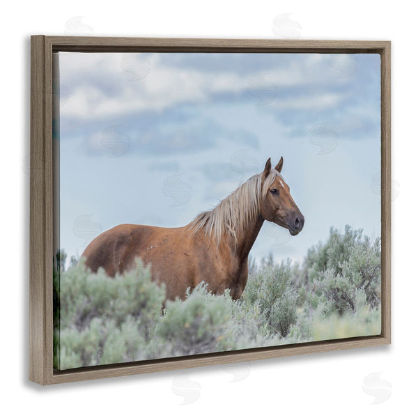 Stupell Industries Larry McFerrin | Stallion Horse Among Bushes Clear Blue Sky Wall Art