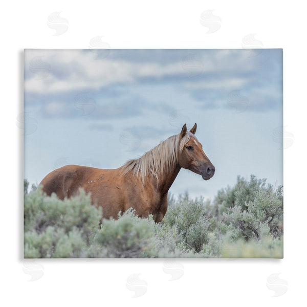 stupell industries Larry McFerrin | Stallion Horse Among Bushes Clear Blue Sky Wall Art