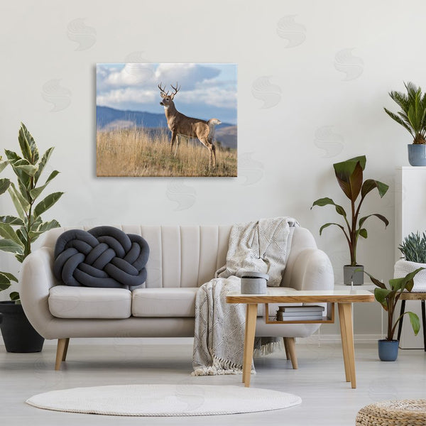 Stupell Industries Larry McFerrin | White-Tail Buck In Wild Montana Mountains Blue Sky Wall Art