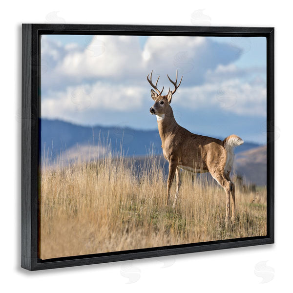 Stupell Industries Larry McFerrin | White-Tail Buck In Wild Montana Mountains Blue Sky Wall Art