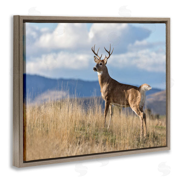Stupell Industries Larry McFerrin | White-Tail Buck In Wild Montana Mountains Blue Sky Wall Art