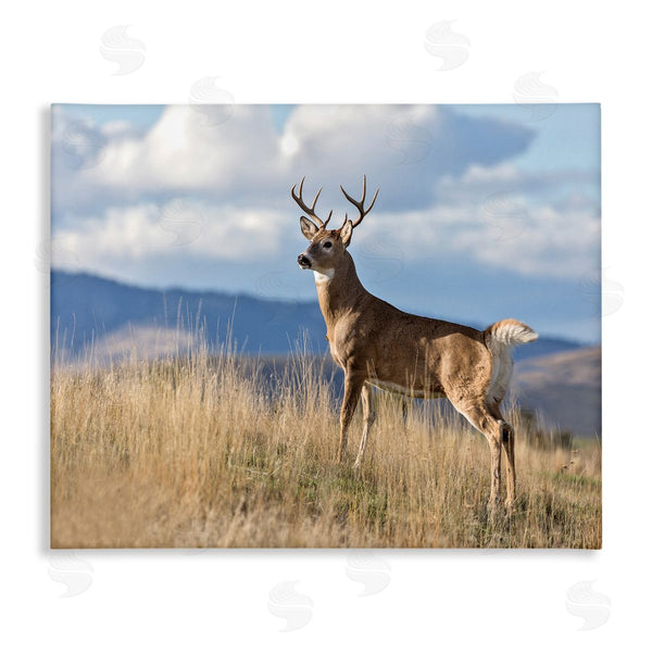 stupell industries Larry McFerrin | White-Tail Buck in Wild Montana Mountains Blue Sky Wall Art
