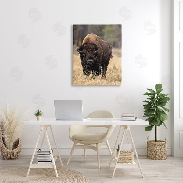 Stupell Industries Larry McFerrin | Wild American Bison Grazing Rustic Tall Grass Wall Art