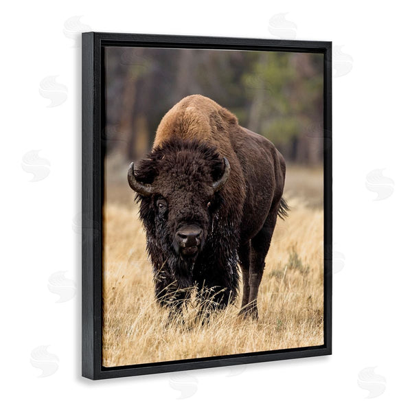 Stupell Industries Larry McFerrin | Wild American Bison Grazing Rustic Tall Grass Wall Art