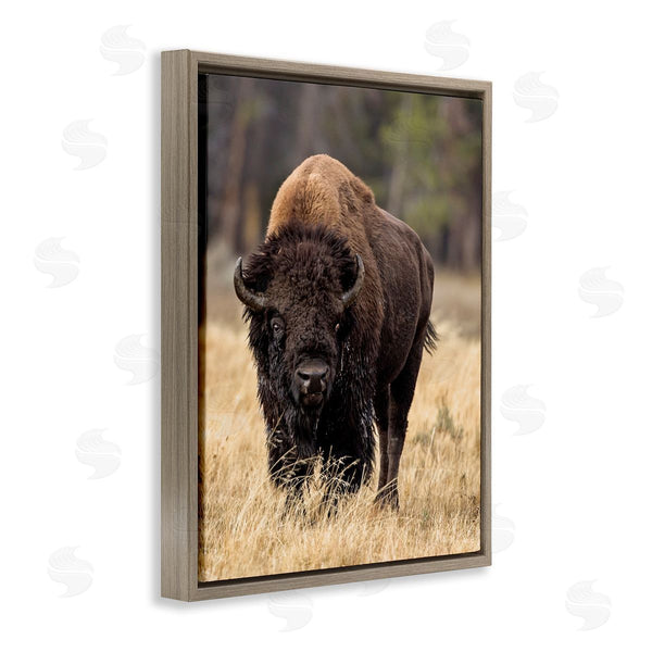 Stupell Industries Larry McFerrin | Wild American Bison Grazing Rustic Tall Grass Wall Art