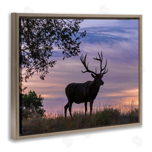 Stupell Industries Larry McFerrin | Wild Elk Sunrise Forest Animal Antlers Morning Sky Wall Art
