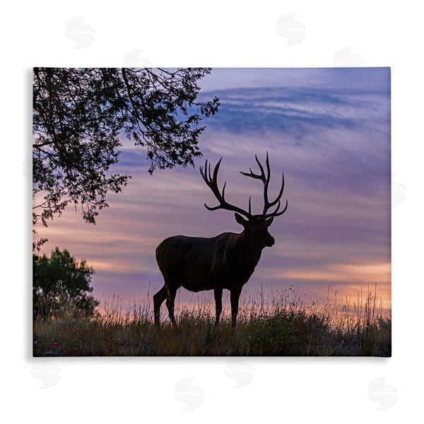 stupell industries Larry McFerrin | Wild Elk Sunrise Forest Animal Antlers Morning Sky Wall Art