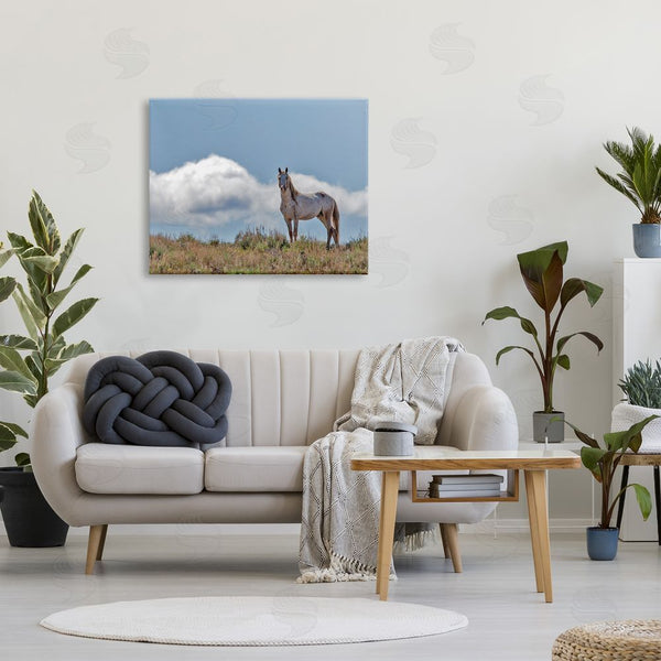 Stupell Industries Larry McFerrin | Wild Horse Standing Strong Along Daytime Cloudy Sky Wall Art