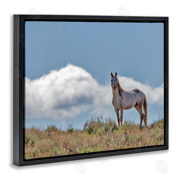 Stupell Industries Larry McFerrin | Wild Horse Standing Strong Along Daytime Cloudy Sky Wall Art
