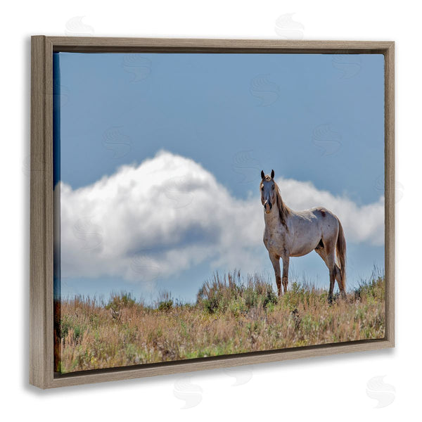 Stupell Industries Larry McFerrin | Wild Horse Standing Strong Along Daytime Cloudy Sky Wall Art
