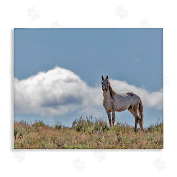 stupell industries Larry McFerrin | Wild Horse Standing Strong Along Daytime Cloudy Sky Wall Art