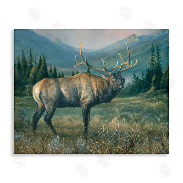 stupell industries Laura Mark-Finberg | Powerful Elk in Field Wall Art