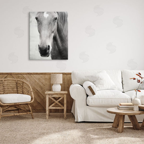 Stupell Industries Laura Marshall | Moke Lake Horse Photography Wall Art