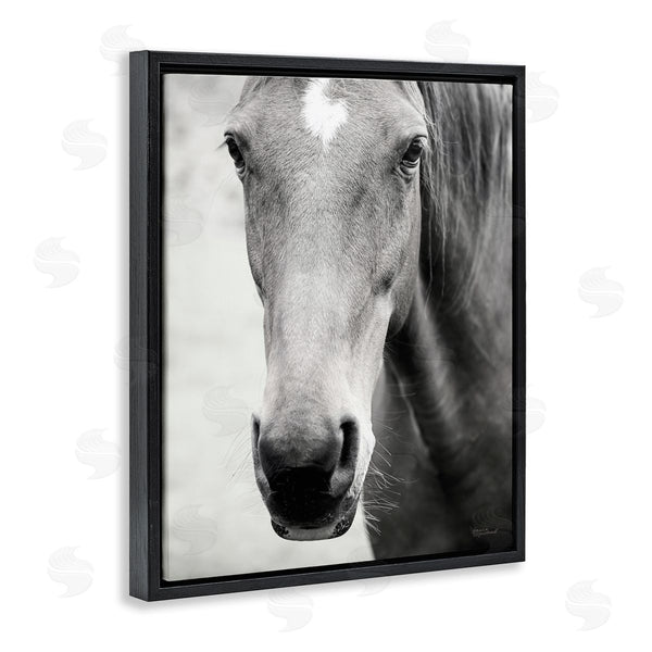 Stupell Industries Laura Marshall | Moke Lake Horse Photography Wall Art