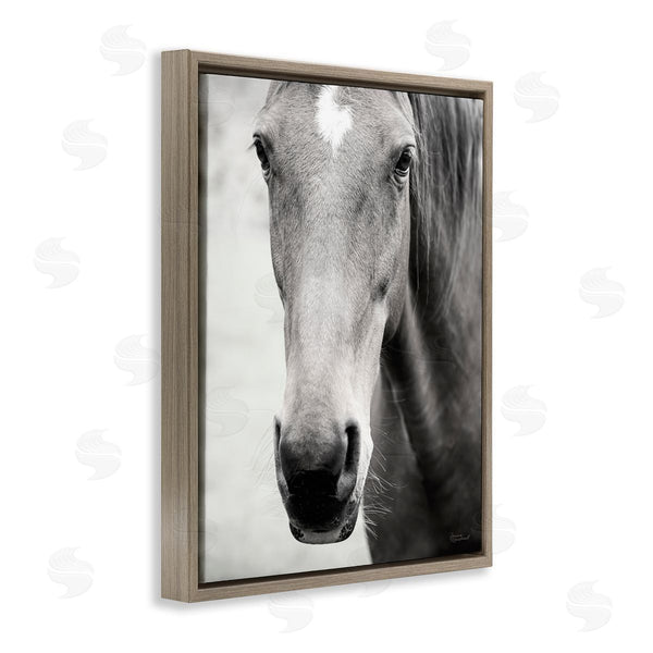 Stupell Industries Laura Marshall | Moke Lake Horse Photography Wall Art
