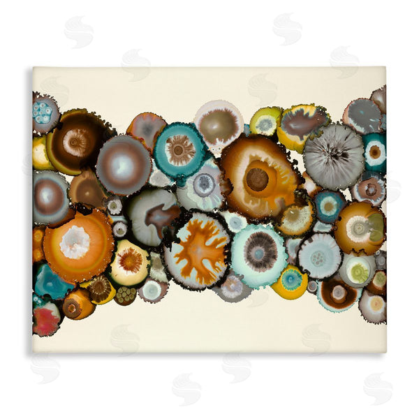 stupell industries Laura Van Horne | Various Agate Clusters Wall Art