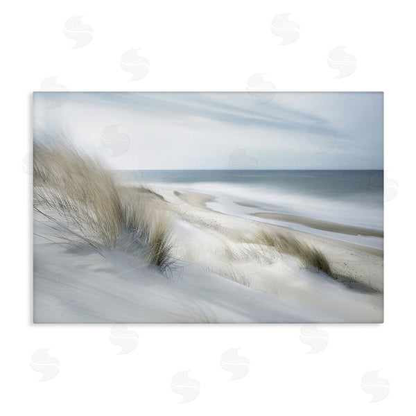 stupell industries Lazar Studio | Beach View Fluid Abstraction