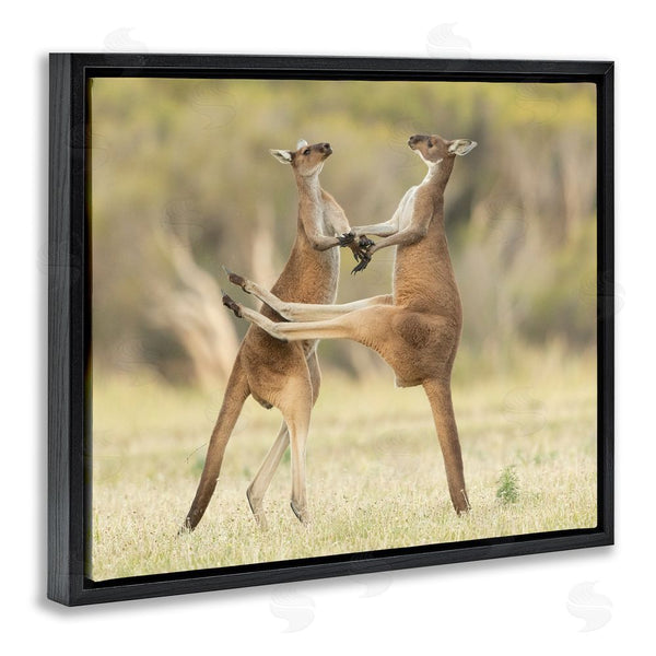 Stupell Industries Lea Scaddan | Kangaroo Duo Photography Wall Art