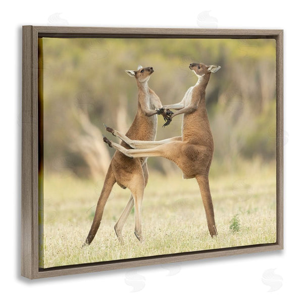 Stupell Industries Lea Scaddan | Kangaroo Duo Photography Wall Art