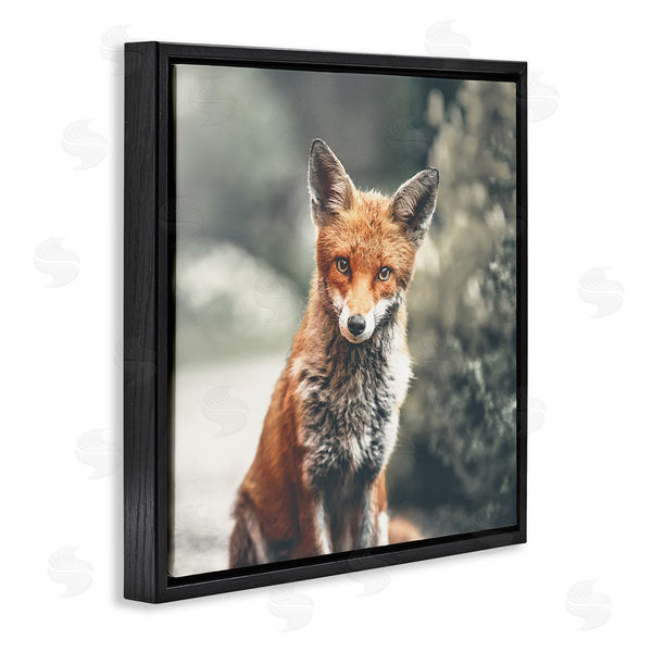 Stupell Industries Leah Straatsma | Adorable Woodland Fox Orange Fur Soft Tone Forest Wall Art