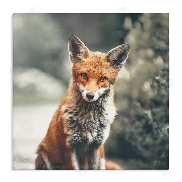 stupell industries Leah Straatsma | Adorable Woodland Fox Orange Fur Soft Tone Forest Wall Art