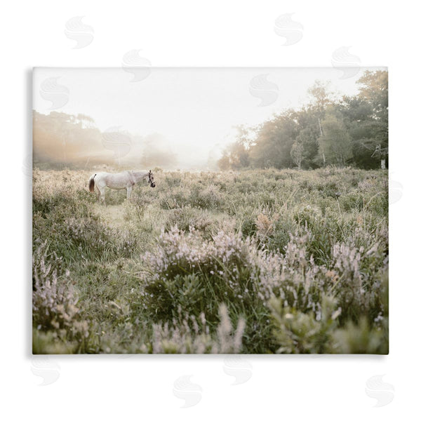 stupell industries Leah Straatsma | Misty Sunset Horse