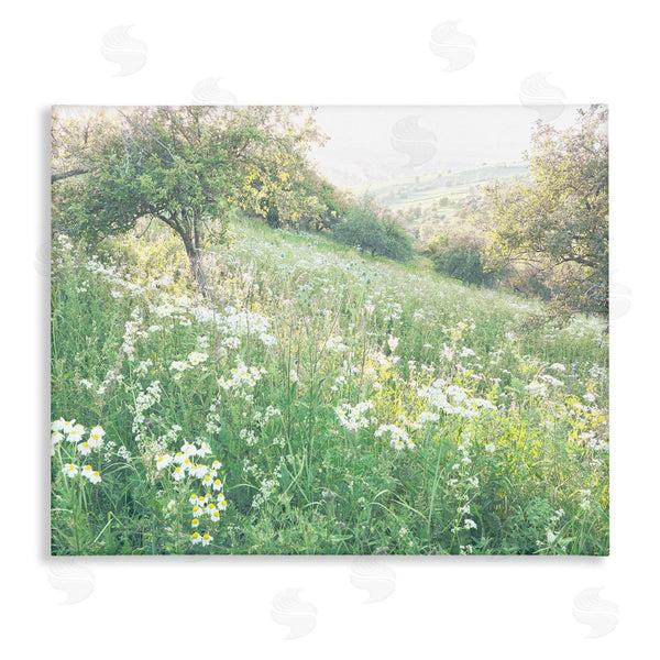 stupell industries Leah Straatsma | Spring Meadow Grassland Field Wall Art